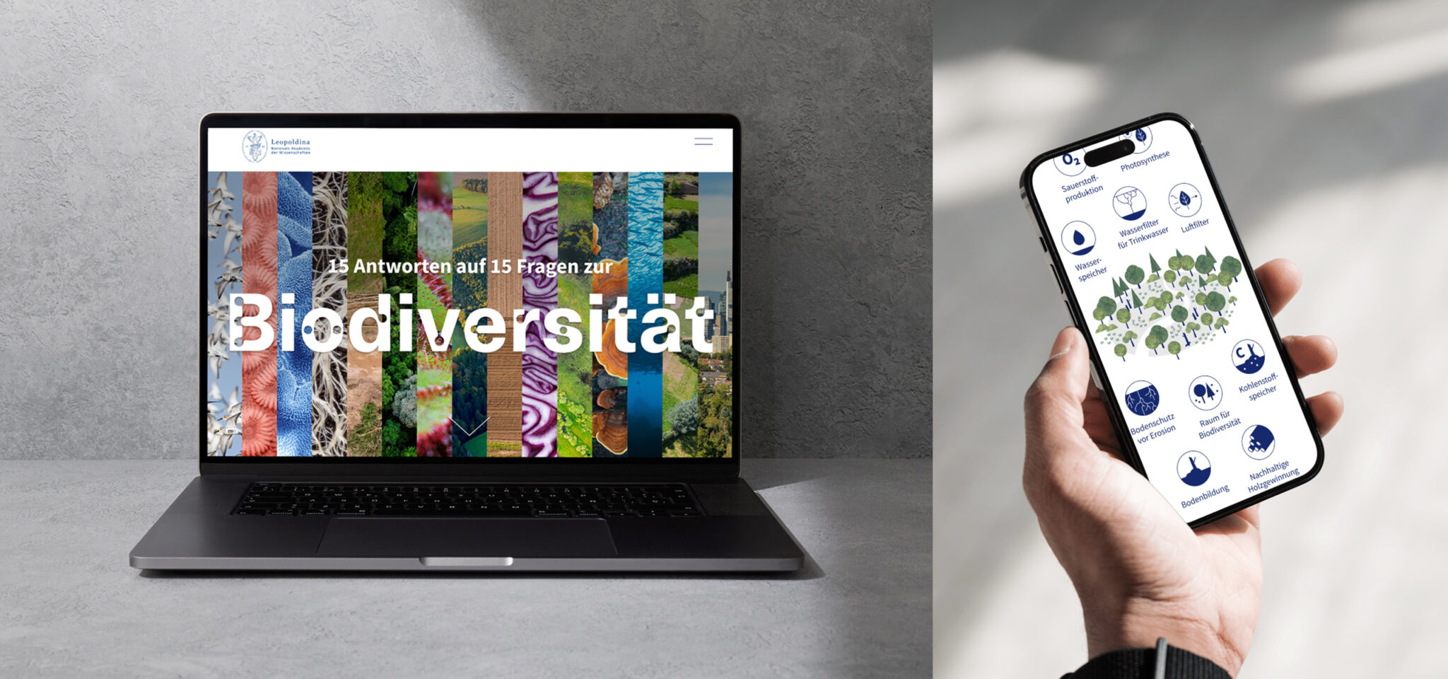 Scrollytelling-Seite der Leopoldina zur Biodiversität